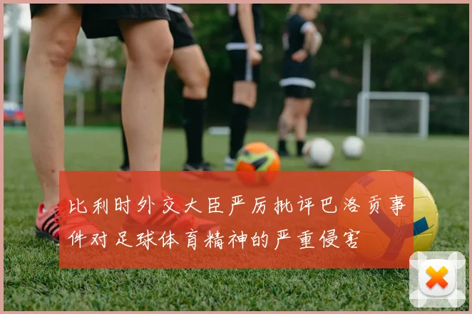 比利时外交大臣严厉批评巴洛贡事件对足球体育精神的严重侵害
